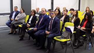 Progress Report on Domestic Violence Project