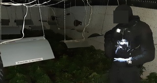 Високотехнологична, подземна наркооранжерия разкриха служители на ГДНП и жандармерията при спецоперация в София 