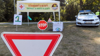 Детски празник на БЧК в Южния парк в подкрепа на EDWARD