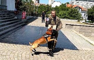 Полицейски служители направиха демонстрация за деца на работата си със служебни кучета 