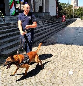 Полицейски служители направиха демонстрация за деца на работата си със служебни кучета 