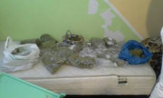 Криминалисти на ГДНП разкриха две оранжерии за отглеждане на марихуана  