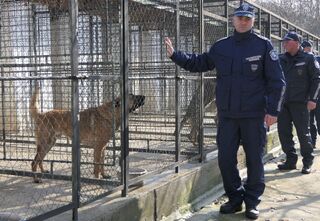 20 нови кучета са купени за нуждите на полицията