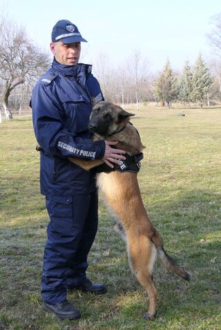 20 нови кучета са купени за нуждите на полицията
