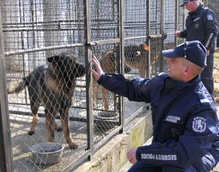 20 нови кучета са купени за нуждите на полицията
