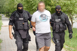Близо 8 тона канабис са открити в ниви в землище на петричкото село Драгуш