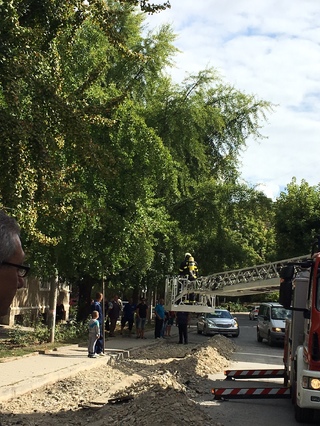Пожар в обществена сграда, евакуация на служителите и гасене на пожара бе темата на тактико-техническата демонстрация на РСПБЗН – Кюстендил, възпитаници на детски градини от Бобов дол гостуваха на пожарникари и спасители  ​