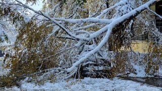 Пътната обстановка на територията на област Ловеч е усложнена