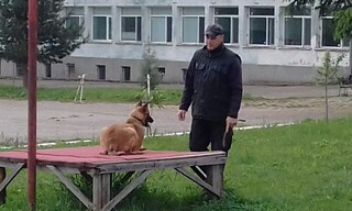 Учениците от Детското полицейско управление във Вършец се запознаха с работата на полицейските кучета от базата в Берковица