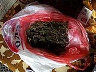 РУ Монтана иззе около половин кг канабис и халюциногенни гъби от жилище в Монтана, след като собственикът бе заловен да шофира след употреба на наркотици