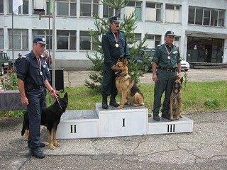  Наградиха победителите от Осмия национален преглед за водачи на служебни кучета с международно участие в Берковица