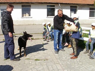  Служители на РУ Вършец проведоха занятия с 20 доброволци от Детско полицейско управление на Начално училище „Васил Левски” в гр. Вършец 