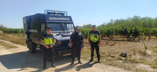 ОДМВР-Пазарджик с мерки за охрана на гроздобера